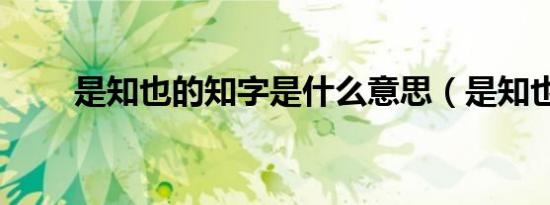 是知也的知字是什么意思（是知也）