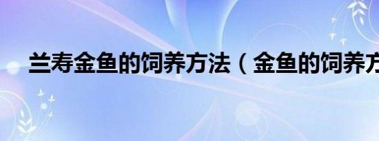 兰寿金鱼的饲养方法（金鱼的饲养方法）