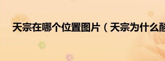 天宗在哪个位置图片（天宗为什么酸痛）