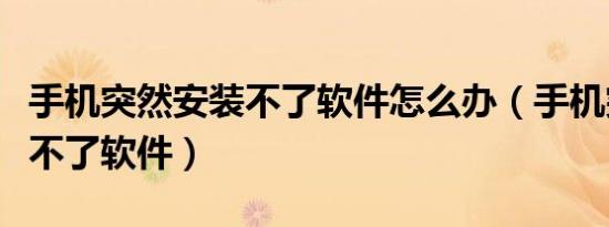手机突然安装不了软件怎么办（手机突然安装不了软件）