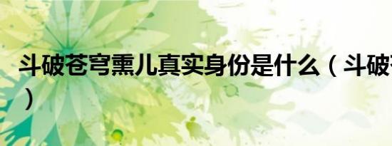 斗破苍穹熏儿真实身份是什么（斗破苍穹熏儿）