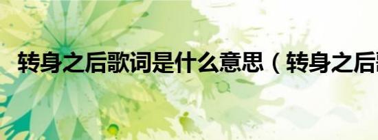 转身之后歌词是什么意思（转身之后歌词）