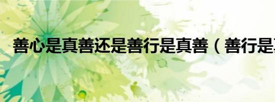 善心是真善还是善行是真善（善行是真善）
