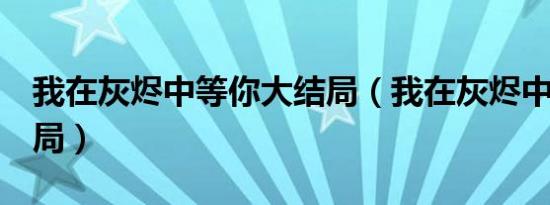 我在灰烬中等你大结局（我在灰烬中等你2结局）