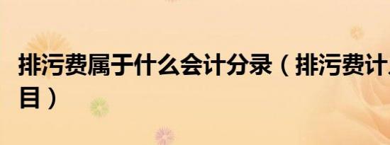 排污费属于什么会计分录（排污费计入什么科目）