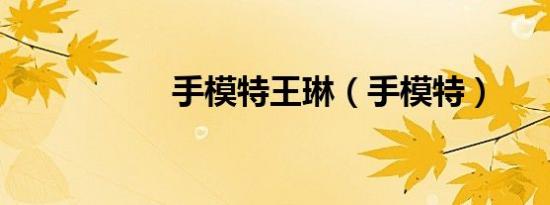 手模特王琳（手模特）