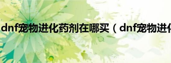 dnf宠物进化药剂在哪买（dnf宠物进化药剂）