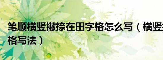 笔顺横竖撇捺在田字格怎么写（横竖撇捺田字格写法）