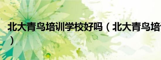 北大青鸟培训学校好吗（北大青鸟培训怎么样）
