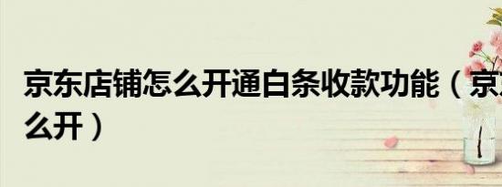 京东店铺怎么开通白条收款功能（京东店铺怎么开）