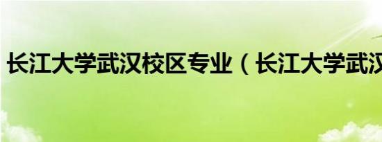 长江大学武汉校区专业（长江大学武汉校区）