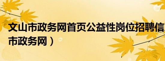 文山市政务网首页公益性岗位招聘信息（文山市政务网）
