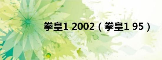 拳皇1 2002（拳皇1 95）