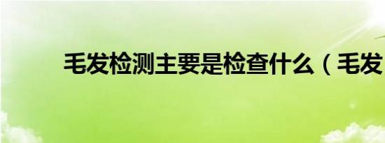 毛发检测主要是检查什么（毛发）