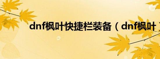 dnf枫叶快捷栏装备（dnf枫叶）