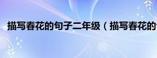 描写春花的句子二年级（描写春花的句子）