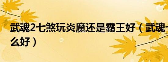 武魂2七煞玩炎魔还是霸王好（武魂七煞转什么好）