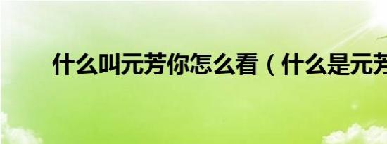 什么叫元芳你怎么看（什么是元芳）