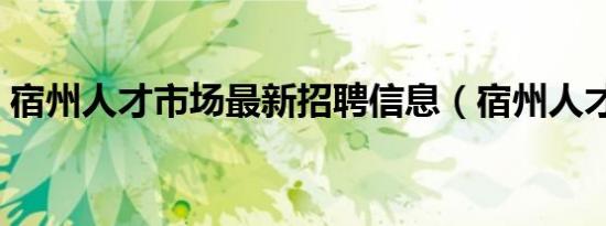 宿州人才市场最新招聘信息（宿州人才市场）