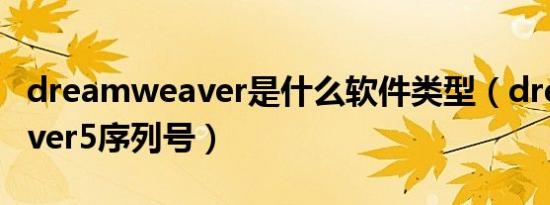 dreamweaver是什么软件类型（dreamweaver5序列号）