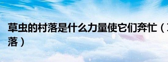 草虫的村落是什么力量使它们奔忙（草虫的村落）