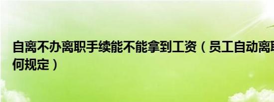 自离不办离职手续能不能拿到工资（员工自动离职劳动法如何规定）