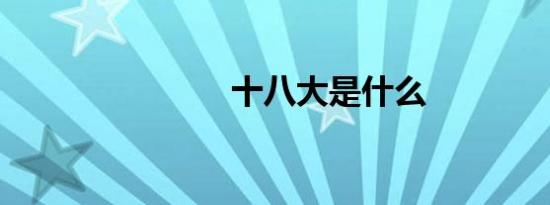 十八大是什么