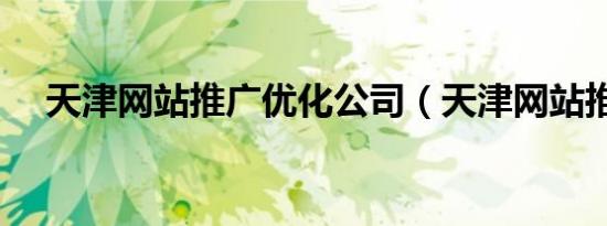天津网站推广优化公司（天津网站推广）