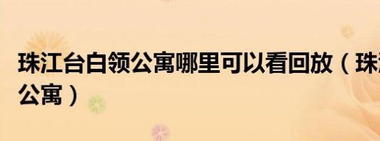 珠江台白领公寓哪里可以看回放（珠江台白领公寓）