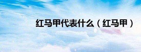 红马甲代表什么（红马甲）