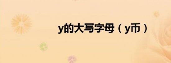 y的大写字母（y币）