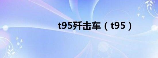 t95歼击车（t95）