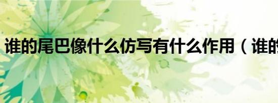 谁的尾巴像什么仿写有什么作用（谁的尾巴）