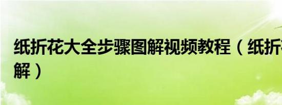 纸折花大全步骤图解视频教程（纸折花大全图解）