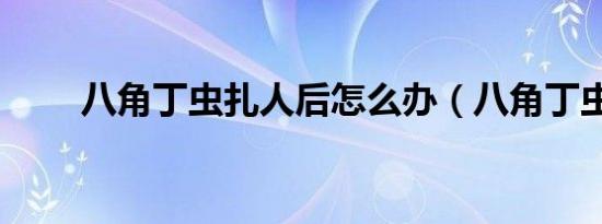 八角丁虫扎人后怎么办（八角丁虫）