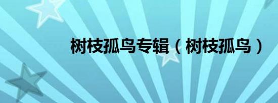 树枝孤鸟专辑（树枝孤鸟）