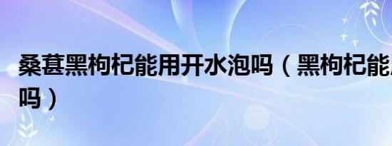 桑葚黑枸杞能用开水泡吗（黑枸杞能用开水泡吗）