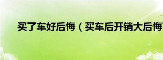 买了车好后悔（买车后开销大后悔了）