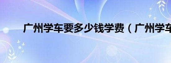 广州学车要多少钱学费（广州学车）
