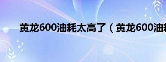 黄龙600油耗太高了（黄龙600油耗）