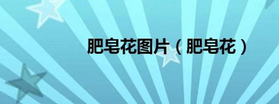 肥皂花图片（肥皂花）