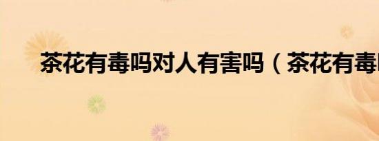 茶花有毒吗对人有害吗（茶花有毒吗）