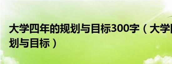 大学四年的规划与目标300字（大学四年的规划与目标）