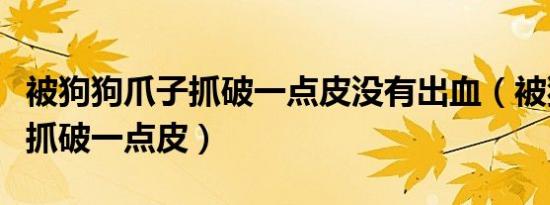 被狗狗爪子抓破一点皮没有出血（被狗狗爪子抓破一点皮）