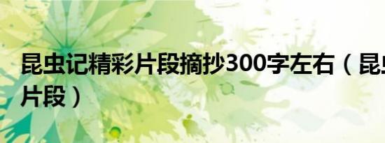 昆虫记精彩片段摘抄300字左右（昆虫记精彩片段）