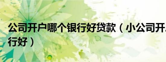 公司开户哪个银行好贷款（小公司开户哪个银行好）
