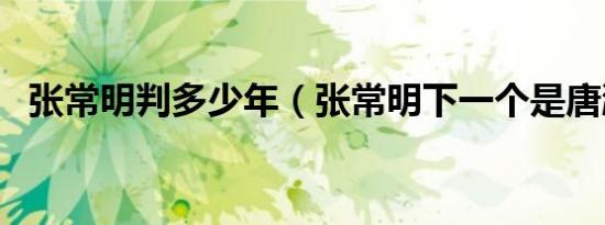张常明判多少年（张常明下一个是唐湘林）