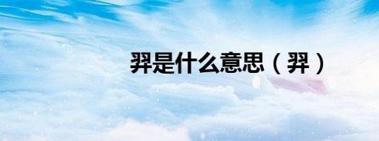 羿是什么意思（羿）