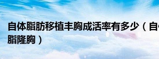 自体脂肪移植丰胸成活率有多少（自体脂肪移脂隆胸）