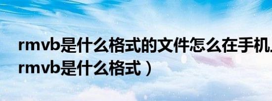 rmvb是什么格式的文件怎么在手机上打开（rmvb是什么格式）